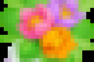 BẾ MẠC HỘI THI GIÁO VIÊN CHỦ NHIỆM LỚP GIỎI THPT TỈNH ĐẮK LẮK NĂM HỌC 2023 – 2024