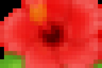 TUYÊN DƯƠNG 13 HỌC SINH TIÊU BIỂU TRONG KÌ THI HSG TỈNH, NĂM 2024